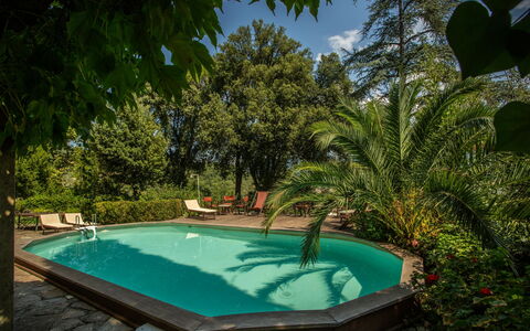 Villa Pedone: Water, Plant, Swimming Pool, Azure, Botany, Sky, Cloud, Shade, Grass, Leisure