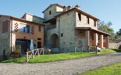 Il Colle - Arezzo, Tuscany, Italy - L'olivo