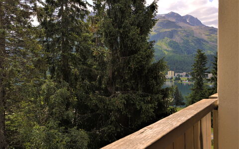 Chesa Romantica 17: Cloud, Sky, Mountain, Natural Landscape, Wood, Larch, Tree, Landscape, Evergreen, Fence