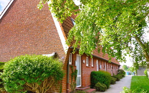 Koralle: Plant, Building, Property, Leaf, Green, Window, Architecture, Brick, House, Tree