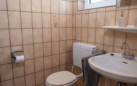 Koralle: Property, Sink, Plumbing Fixture, Bathroom, Bathroom Sink, Purple, Mirror, Tap, Toilet Seat, Floor