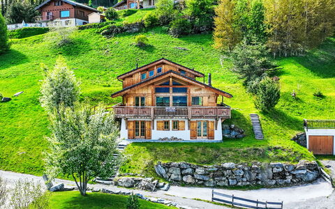 Nendaz 244: Building, Plant, Property, Green, Natural Landscape, Window, House, Botany, Land Lot, Tree