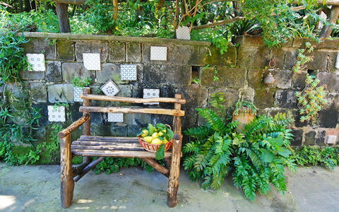 Il Montano: Vegetation, Garden, Botany, Bench, Furniture, Plant, Outdoor Furniture, Flower, Backyard, Table