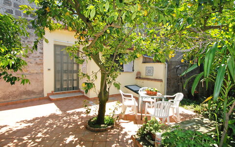 Il Montano: Plant, Building, Window, Furniture, Shade, Tree, Architecture, Chair, Table, Neighbourhood