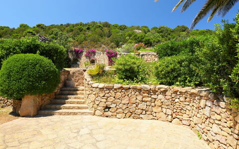 Paradiso: Property, Vegetation, Garden, Wall, House, Tree, Real Estate, Botany, Shrub, Plant