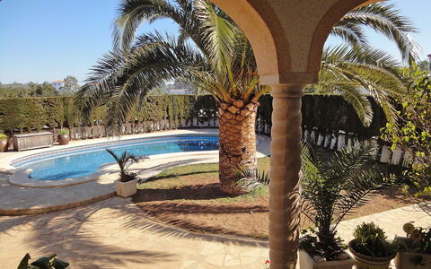 Dirk: Property, Tree, Palm Tree, Azure, Arecales, Real Estate, Architecture, Building, Vacation, Hacienda