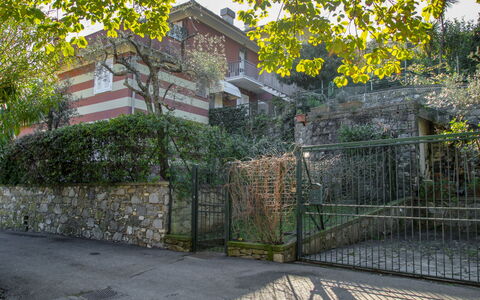 Il Pigno: Plant, Building, Fence, Road Surface, Tree, Sky, House, Woody Plant, Grass, Landscape