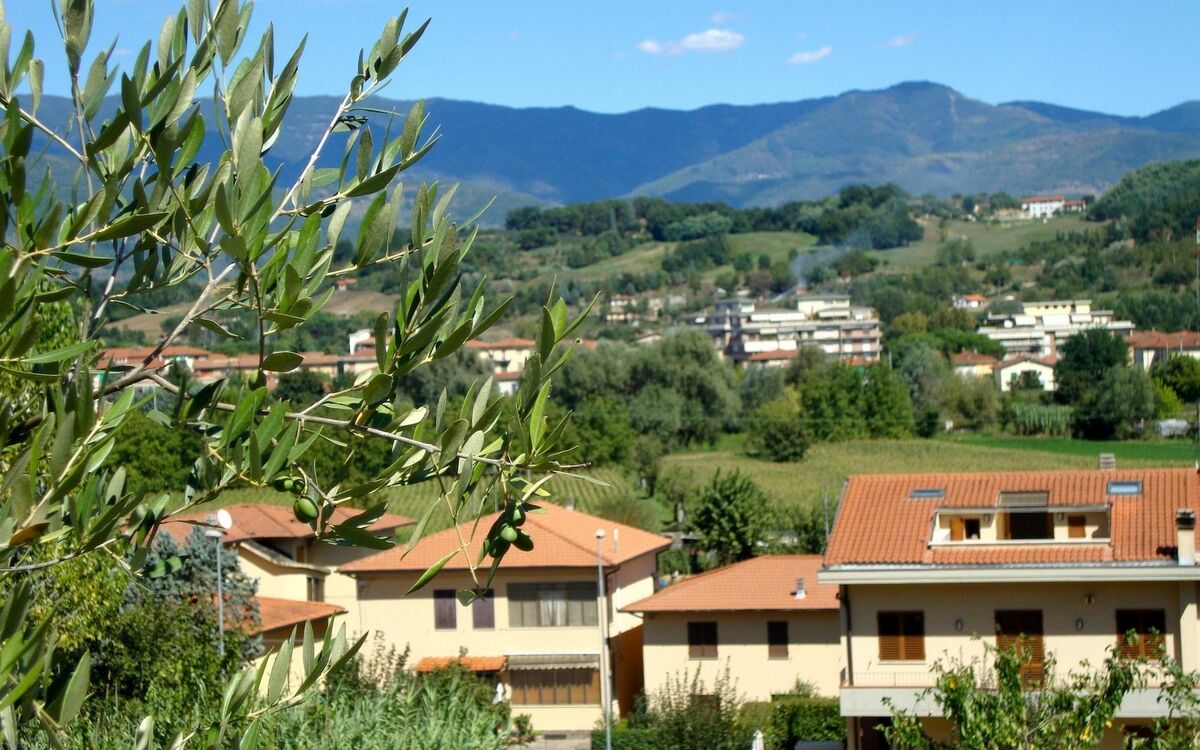 Mugnai Home