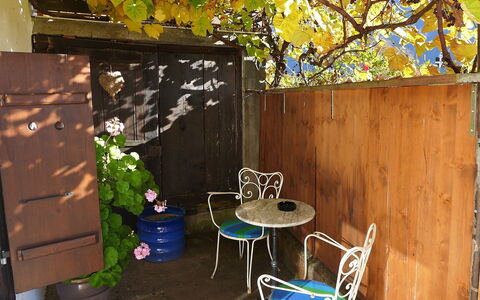 Am Brienzersee: Plant, Botany, Nature, Chair, Flowerpot, Branch, Wood, Yellow, Tree, Biome