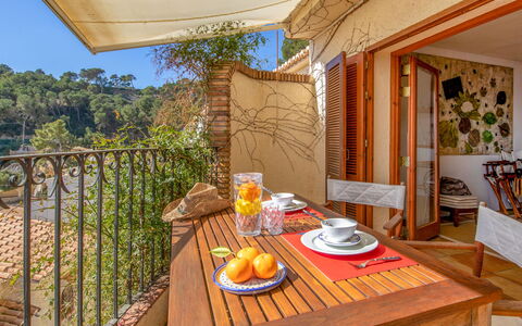 Vista Halcon: Table, Furniture, Property, Tableware, Chair, Wood, Interior Design, Plant, Orange, Shade