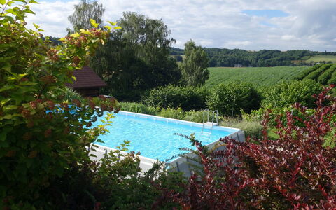 Moja Mała Toskania: Nature, Natural Landscape, Property, Vegetation, Swimming Pool, Nature Reserve, Wilderness, Sky, Botany, Tree