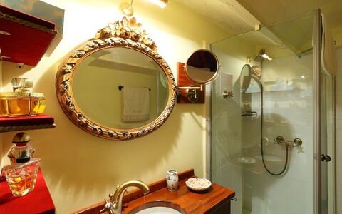 Plaza de Catalunya - Pso. de Gracia: Mirror, Room, Property, Interior Design, Bathroom, Window, Plumbing Fixture, Ceiling, House