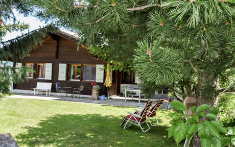 Himmulriich: Plant, Plant Community, Botany, Building, Leaf, Arecales, Shade, Vegetation, Outdoor Furniture, Tree