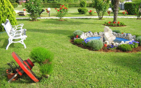 Cvjetko: Lawn, Yard, Garden, Grass, Backyard, Landscaping, Grass Family, Shrub, Landscape, Plant