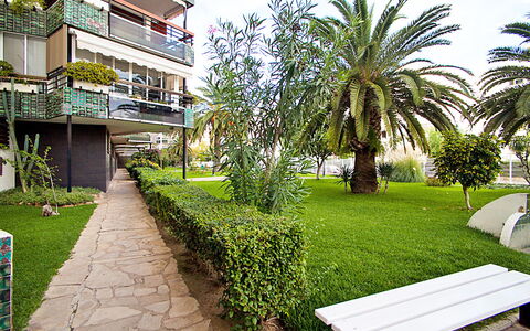 Formentor Ii: Plant, Building, Sky, Property, Green, Nature, Cloud, Botany, Vegetation, Urban Design