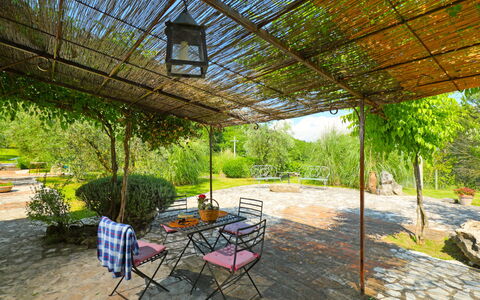 Nest: Property, Real Estate, Building, Yard, House, Backyard, Patio, Leisure, Shade, Garden