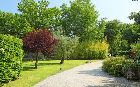 Nest: Plant, Sky, Nature, Leaf, Natural Landscape, Street Light, Tree, Land Lot, Road Surface, Grass