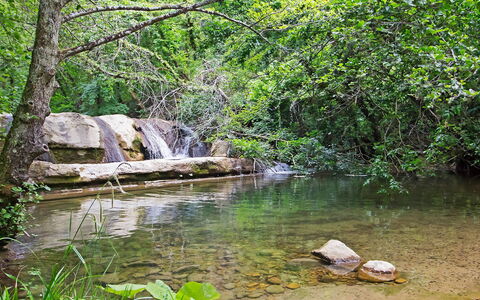 La Valchiera: Water, Plant, Plant Community, Natural Landscape, Spring, Tree, Body Of Water, Terrestrial Plant, Watercourse