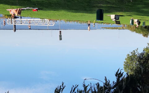 Polderzicht: Water, Plant, Body Of Water, Lake, Watercourse, Leisure, Recreation, Natural Landscape, Waterway, Grass