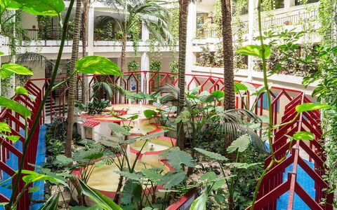 Benalbeach: Plant, Botany, Terrestrial Plant, Building, Vegetation, Tree, Biome, Urban Design, Leisure, Shrub