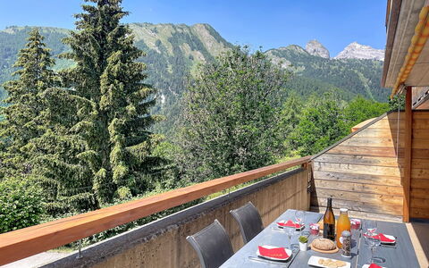 Cornalin 2: Mountain, Mountain Range, Hill Station, Alps, Valley, Larch, Ridge, Hardwood, Balcony