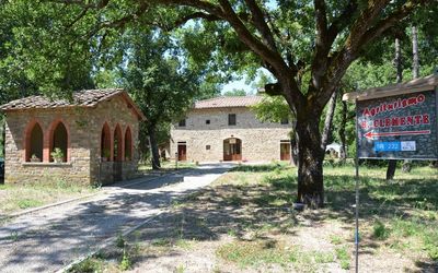 Agriturismo San Clemente - Panzano in Chianti, Tuscany, Italy - Malvasia