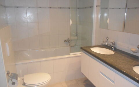 Chalet Nagano: Brown, Plumbing Fixture, Tap, Property, Sink, Bathroom Sink, Bathroom Cabinet, Bathroom, Building, Mirror