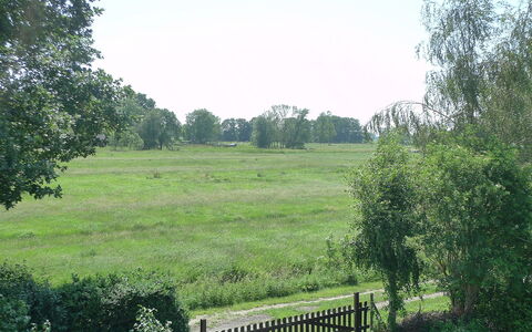 Villa Sorgenfrei: Natural Landscape, Nature Reserve, Property, Pasture, Land Lot, Natural Environment, Grass, Meadow, Tree, Grassland