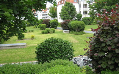 Kamelienweg