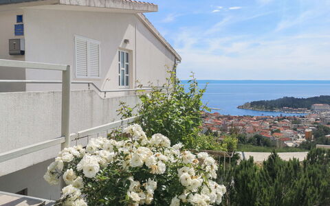 Makarska 592: Flower, Cloud, Sky, Plant, Property, Building, Window, Water, House, Tree