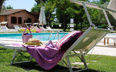 Grosseto 825: Plant, Furniture, Sunlounger, Tree, Outdoor Furniture, Comfort, Sky, Chair, Leisure, Armrest