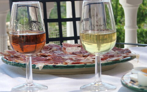 Nina Celi: Stemware, Wine Glass, Glass, Champagne Stemware, Drink, Drinkware, Wine, Alcoholic Beverage, Water