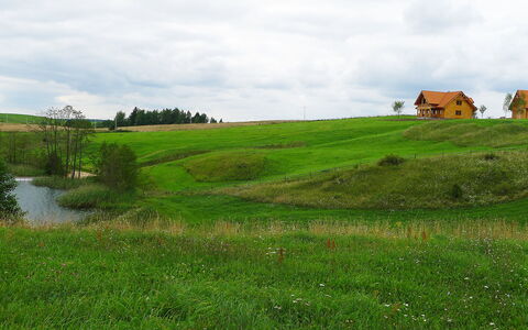 Dworczysko: Building, Plant, Property, Window, Land Lot, Urban Design, Landscape, Neighbourhood, Grass, Leisure