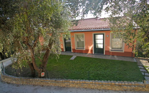 Imperia 530: Plant, Building, Window, House, Land Lot, Cottage, Tree, Road Surface, Grass, Shade