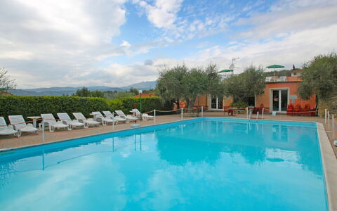 Imperia 530: Water, Sky, Cloud, Plant, Building, Swimming Pool, Tree, House, Body Of Water, Leisure