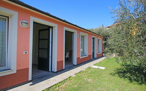 Imperia 530: Plant, Sky, Window, Building, Shade, Land Lot, Door, Wood, Grass