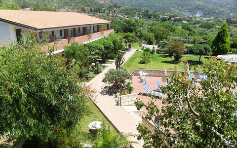 Capo Vaticano 120: Plant, Building, Plant Community, Sky, Window, Tree, Land Lot, Vegetation, Natural Landscape, House
