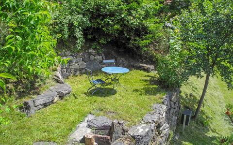 Wengen 150: Plant, Water Resources, Plant Community, Natural Landscape, Water, Watercourse, Tree, Grass, Landscape, Shrub
