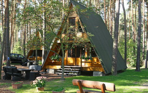 Arendsee 100: Plant, Botany, Wood, Tree, Shade, Outdoor Furniture, Natural Landscape, Grass, Outdoor Bench, Leisure