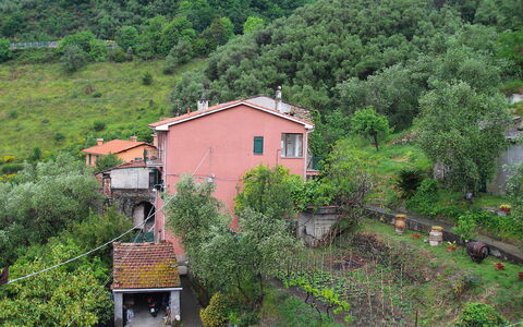 Cristina: Plant, Building, Property, Window, Natural Landscape, House, Vegetation, Land Lot, Biome, Cottage