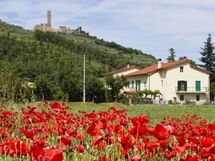 Casa San Martino