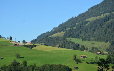 Eichhorn