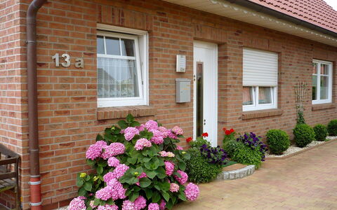 Reissmann: Flower, Plant, Window, Building, House, Door, Wall, Grass, Brickwork, Real Estate
