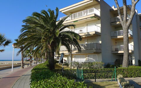 Dms V: Sky, Plant, Building, Water, Window, Botany, Tree, Arecales, Condominium, Vegetation