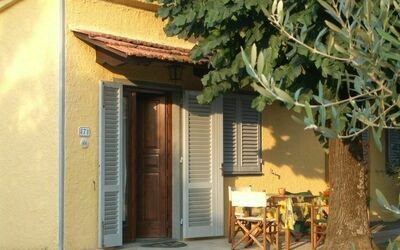 Olivo 2: Outdoor