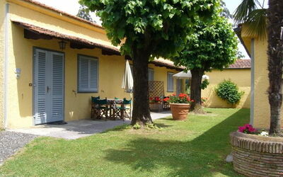 Olivo 3: Outdoor