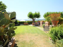 Marsiliana