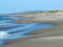 Marsiliana