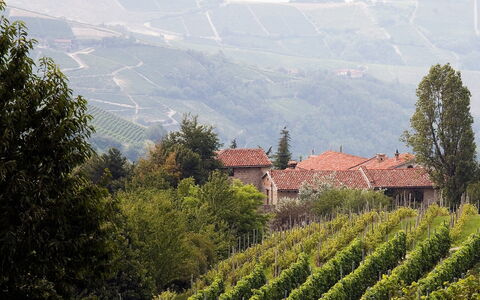 Borgo del Riondino: Vegetation, Hill Station, Atmospheric Phenomenon, Highland, Rural Area, Plantation, Hill, Mountain, Tree, Mountain Village