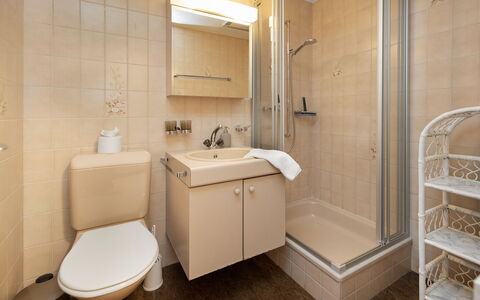 Chalet Sunneblick: Bathroom, Bathroom Sink, Plumbing Fixture, Sink, Wall, Flooring, Interior Design, Floor, Toilet, Tap